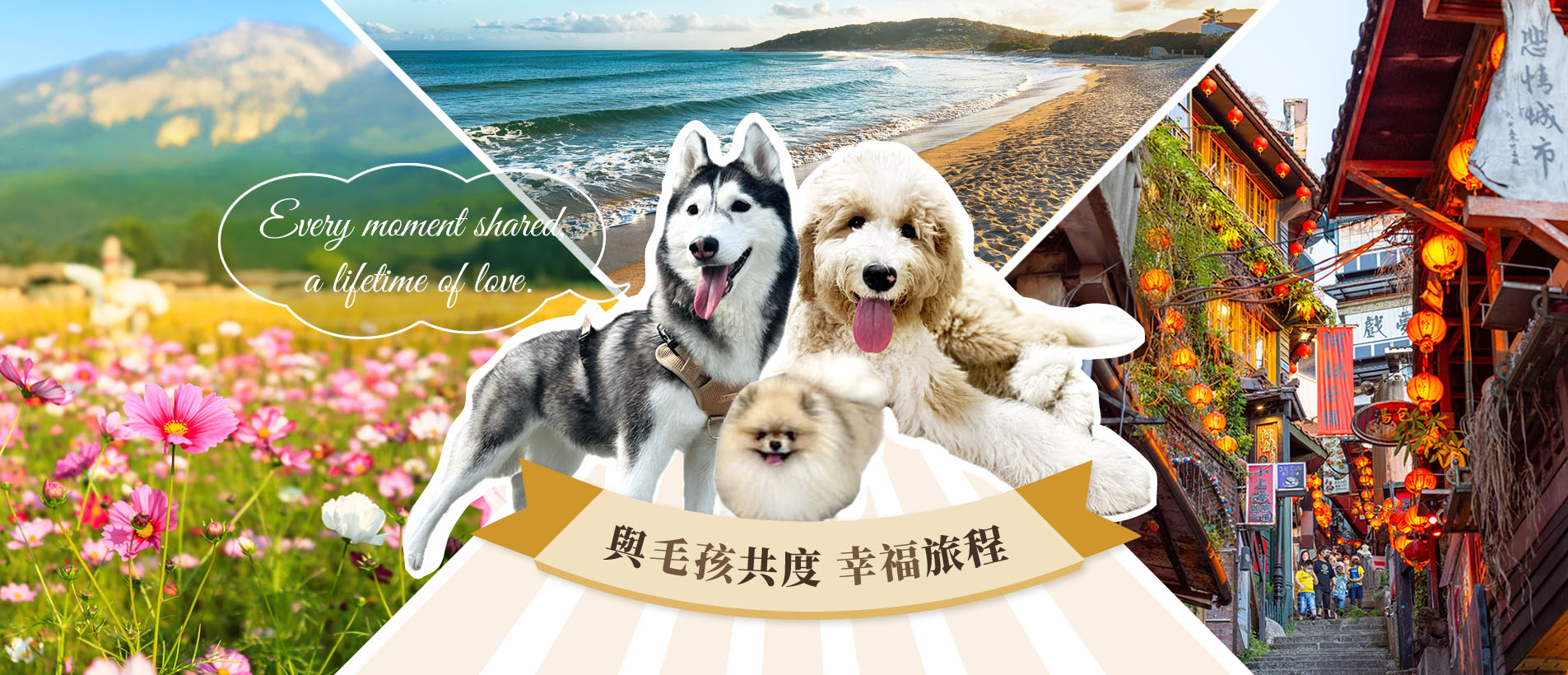 banner_index.jpg banner_index.jpg